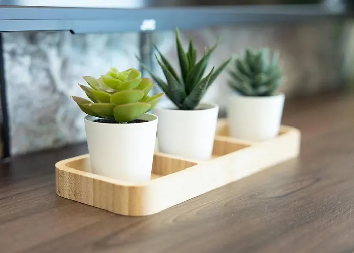 Ivory Seafront With Views!- Fl 9 By Homely Apartamento